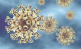 Coronavirus - Informationen