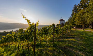 Seetal-Hochdorf