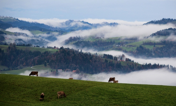 Entlebuch